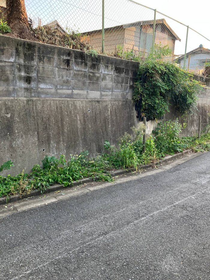 神社裏の擁壁沿い。道路際に雑草が生い茂っている（作業前）